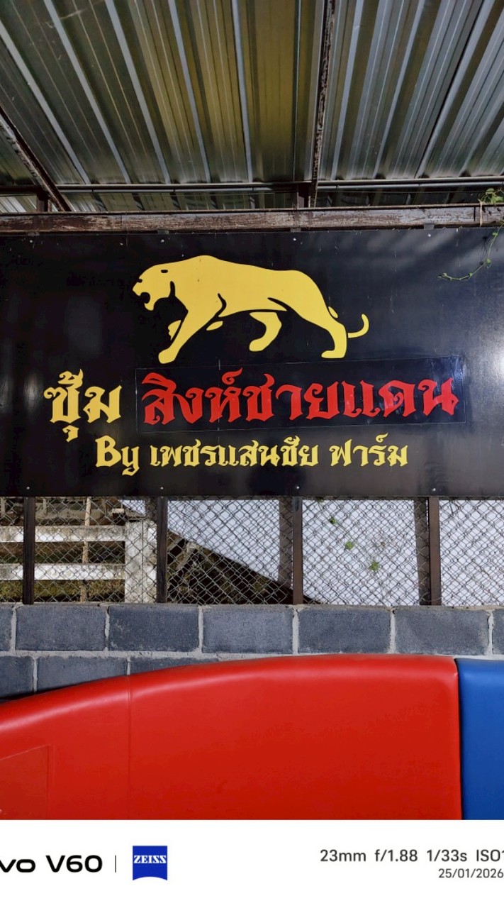 ซุ้ม สิงห์ชายเเดน