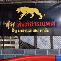 ซุ้ม สิงห์ชายเเดน