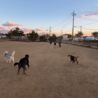 鹿島灘海浜公園　犬友サロン〜散歩&ドッグラン利用者の交流部屋〜