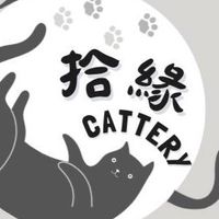 拾緣貓屋聊天、知識、團購群