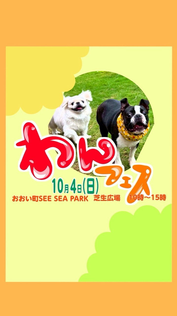 １０月４日 わんフェス🐶✨おおい町