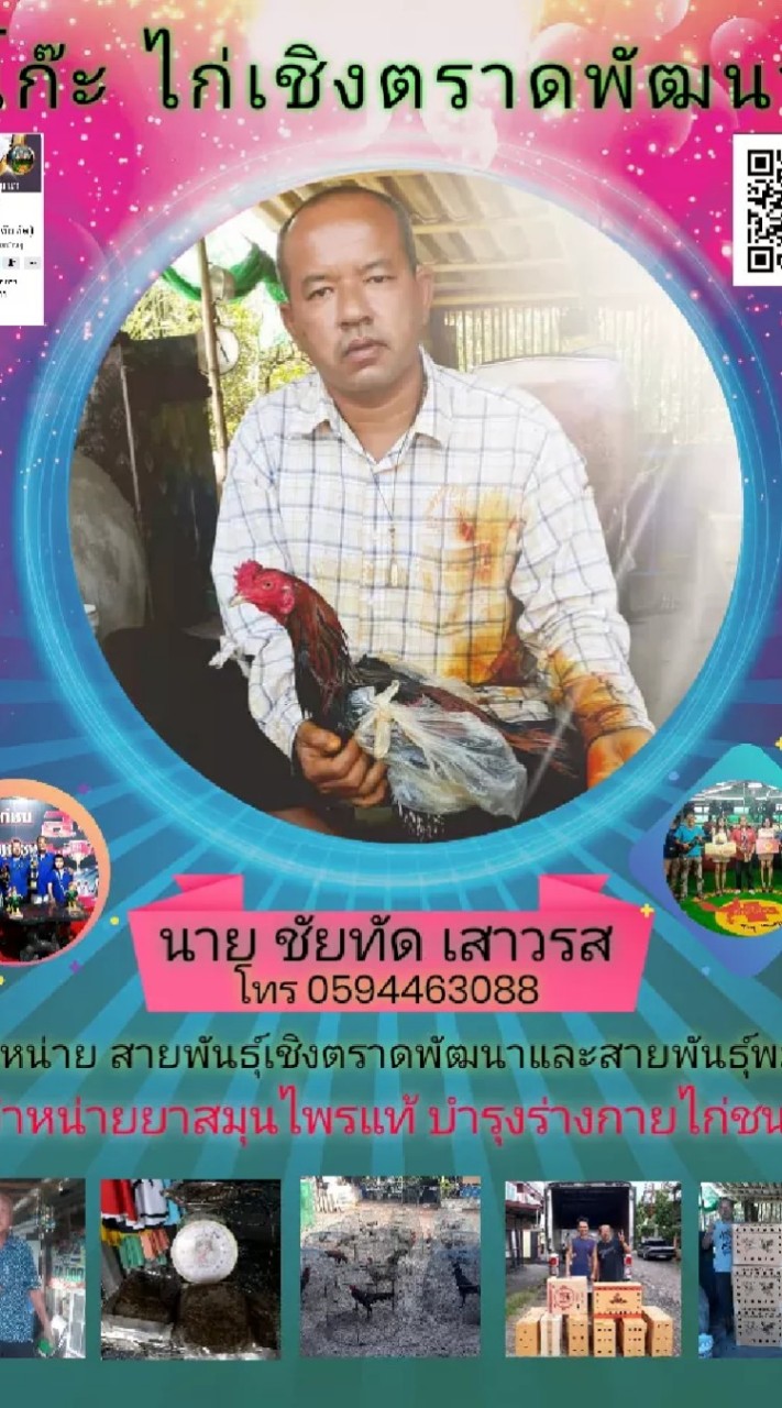 รวมพลคนรักไก่ชนและสมุนไพรแท้100%