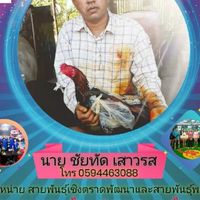 รวมพลคนรักไก่ชนและสมุนไพรแท้100%