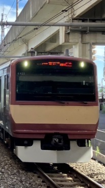 鉄オタの鉄オタによる鉄オタのためのオプ@カモメ旅