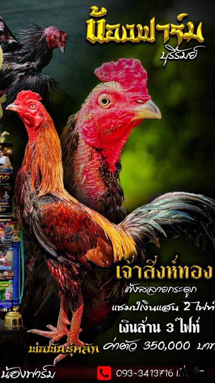 ซุ้ม.น้องฟาร์ม🐓