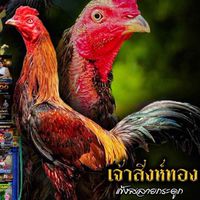 ซุ้ม.น้องฟาร์ม🐓