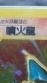 Pokemon老繁中討論分享