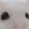 反ラフレシア王国2
