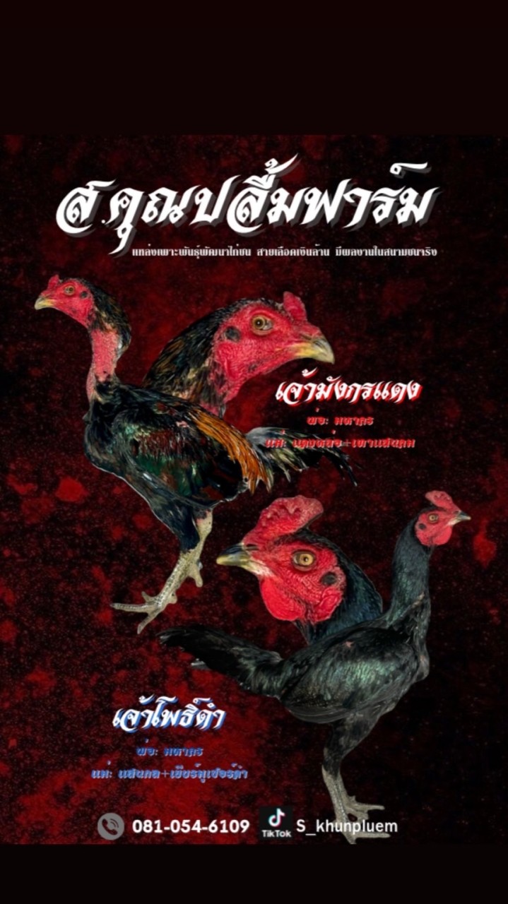 ส.คุณปลื้มฟาร์ม🐓