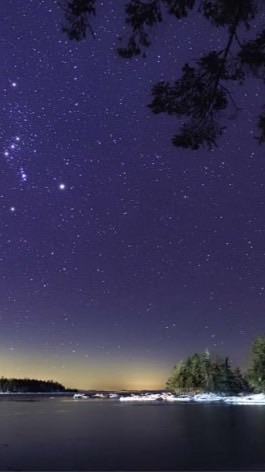 𝕊𝕐戰隊（JHY學院第一分戰）