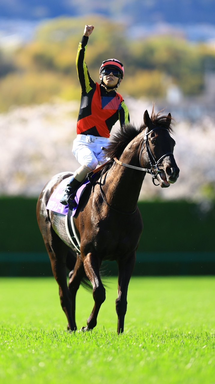 ta_2_yaのみんなで競馬🏇