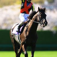 ta_2_yaのみんなで競馬🏇