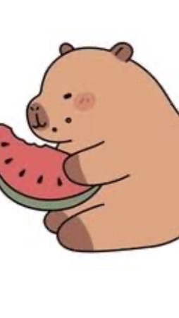 かぴばら好きな人集まれ！（みそらくん待ち）