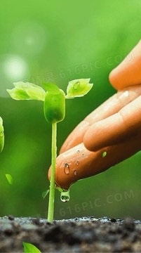 種子學習會