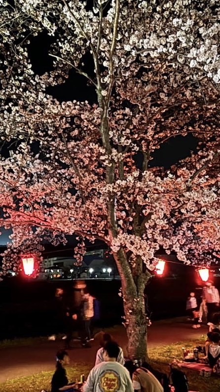 兵庫の真ん中辺で花見や花火、色々とイベントを楽しもう