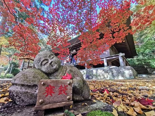 浪漫的季節唯美的情境 丹波篠山楓紅片片 野旅行 Line Today