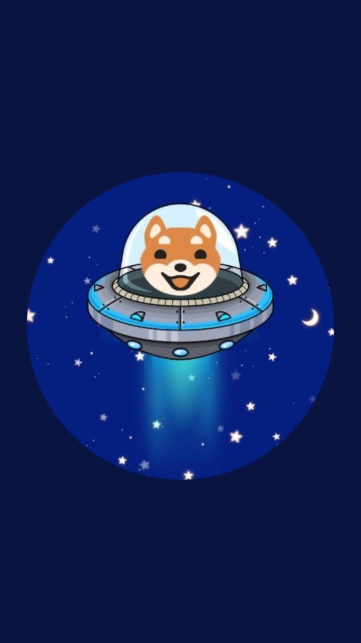 仮想通貨　SHIB AKITA KISYU HOKK  🐶ブリーダーの集い🐶