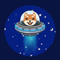 仮想通貨　SHIB AKITA KISYU HOKK  🐶ブリーダーの集い🐶