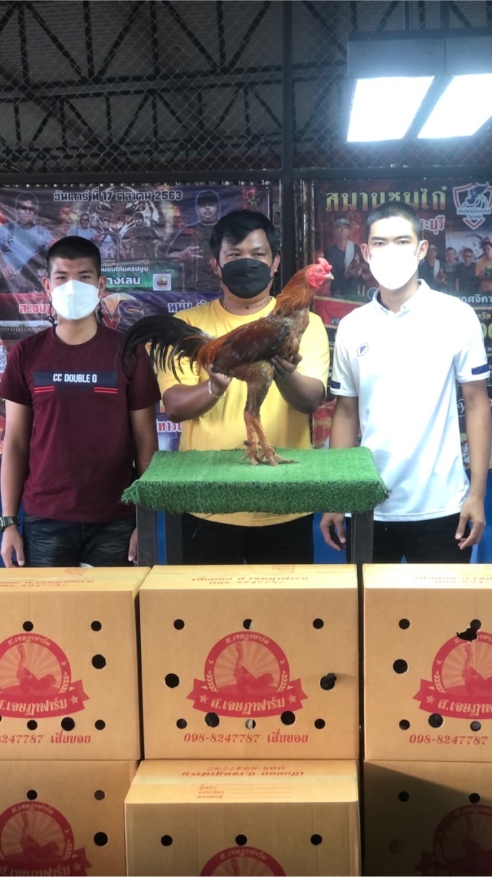 ซุ้มตระกูล ป. ฟาร์ม 🐓🐔