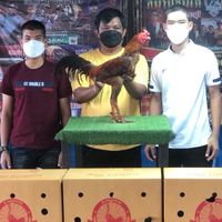 ซุ้มตระกูล ป. ฟาร์ม 🐓🐔