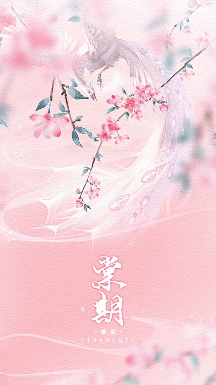 ㅤ　ז ۧۧۗ🌸༙͞ 花ܑ如錦 บุปผาสะ͟พรั่ง ณ ตำหนักหยางซิน  ⦘֣ິ  ͟𝐃𝐀𝐐𝐈𝐍𝐆   ༧ ㅤ