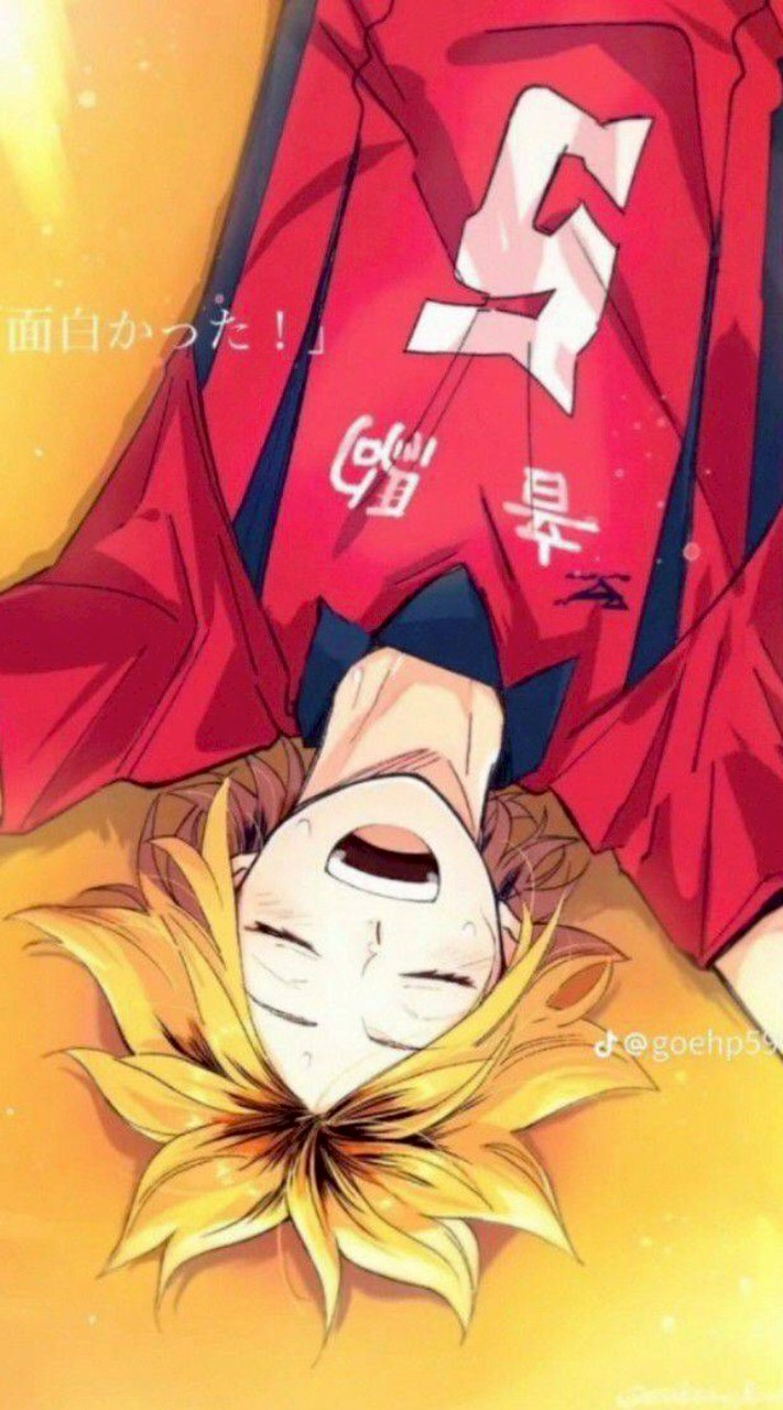 排球少年