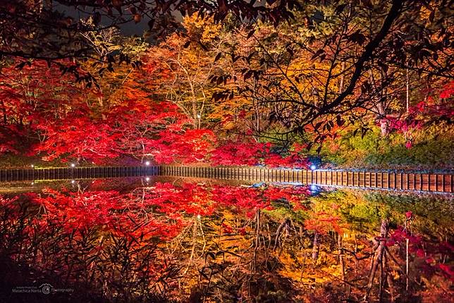 青森的紅葉大人氣 弘前城菊花與紅葉祭 Homita Line Today