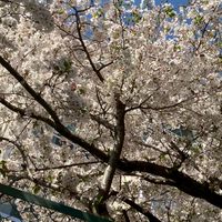 みんな〜おしゃべりしよ！