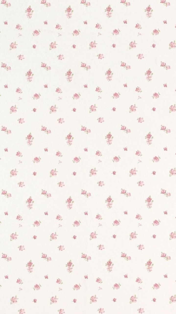 Meowmeow store ₍˄·͈༝·͈˄*₎◞ ̑̑♡