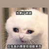 ✨帶夠代購✨