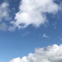 阿里山頂湖步道+大凍山一日遊-109/11/7