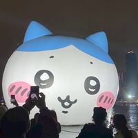 宜庭的🇯🇵日本大阪代購 5/14-5/21