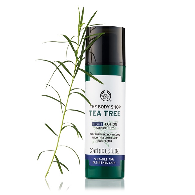 The body shop茶樹淨膚夜間修護乳30ml