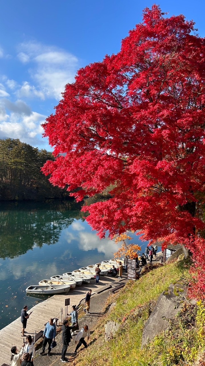✈️阿明🔆隆祥旅遊促銷優惠