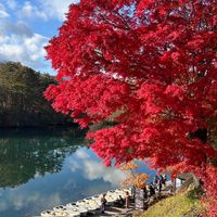 ✈️阿明🔆隆祥旅遊促銷優惠