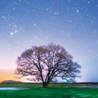 居場所が欲しい　もっとお話ししたいな