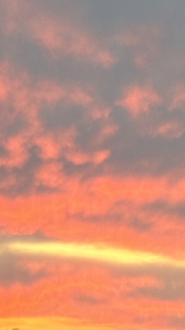 イラスト、雑談部屋