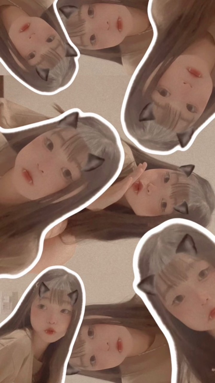 柴柴小天地🎀💗