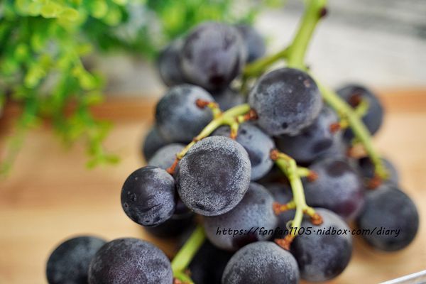 【苗栗卓蘭水果王國】果樹寶石 - 菓寶食 #卓蘭 #巨峰葡萄 #新鮮香甜 #吃葡萄不吐葡萄皮 (7).JPG