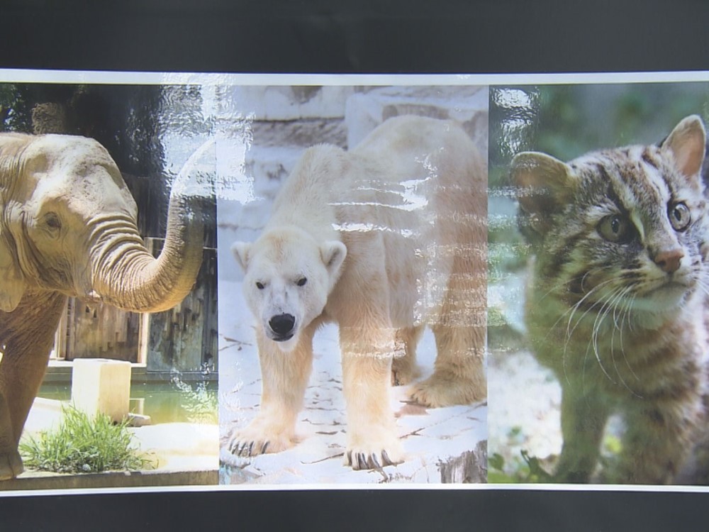 アフリカゾウやホッキョクグマなど 東山動植物園で動物慰霊祭 1年間に死んだ1頭の冥福祈る