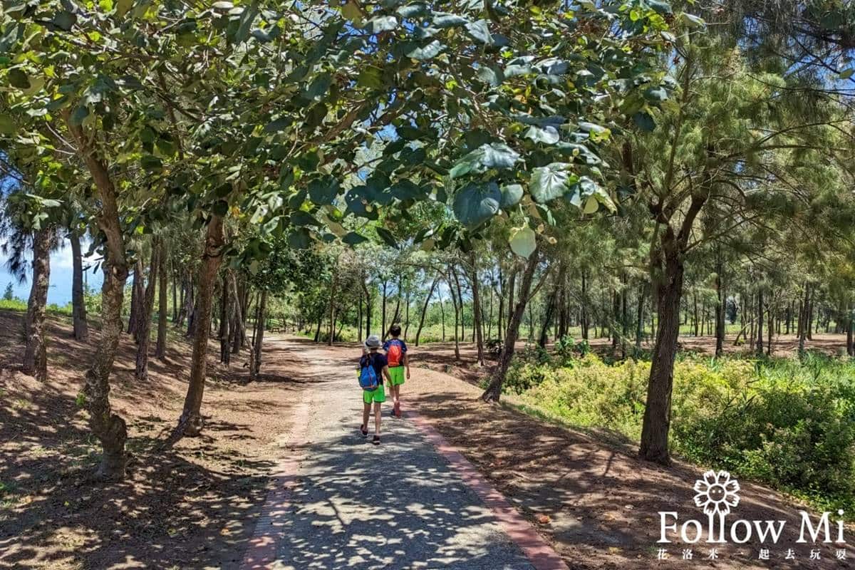 「雲林小日月潭」在這！湖泊祕境＋藍天倒映免費拍到飽，再衝環湖步道放電