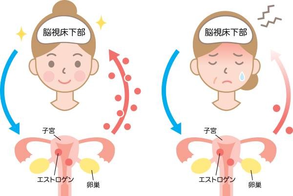 更年期と生理の関係性 月経異常の対処法とは