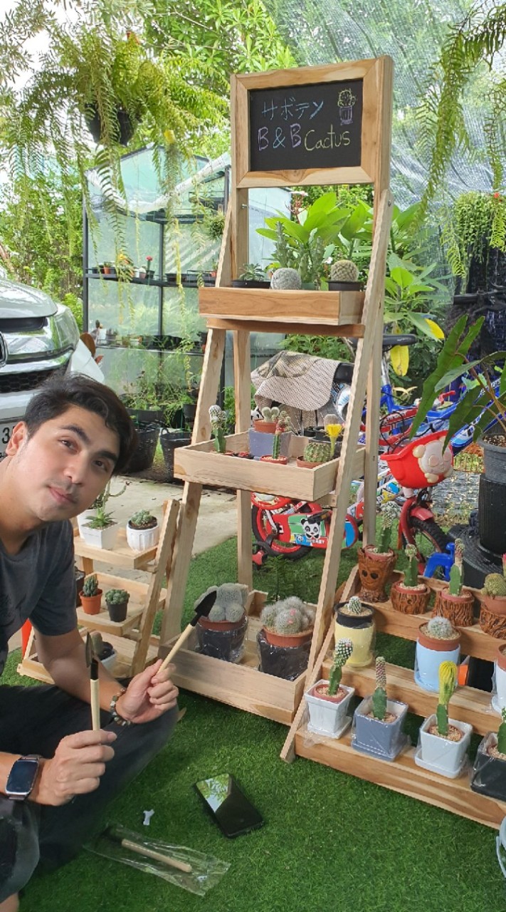 B&B cactus ใบไม้ ไม้ด่าง