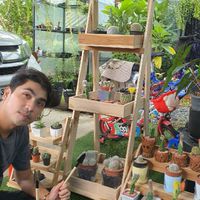 B&B cactus ใบไม้ ไม้ด่าง
