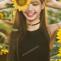 แก๊งลิซ่า🐝🍯