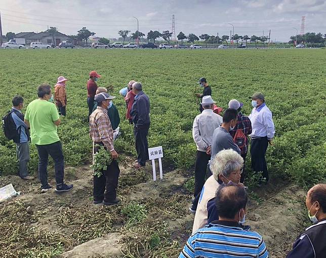 落花生健康栽培觀摩會台塑敦親睦鄰 勁報 Line Today