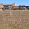 茨城県立医療大学同窓会藝游會