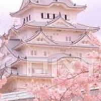 関西が好きな人歓迎🌼ユルユル部屋🌸ROM専歓迎