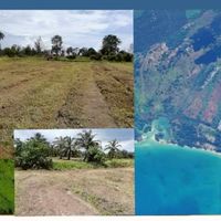 Land for sale in Phang Nga