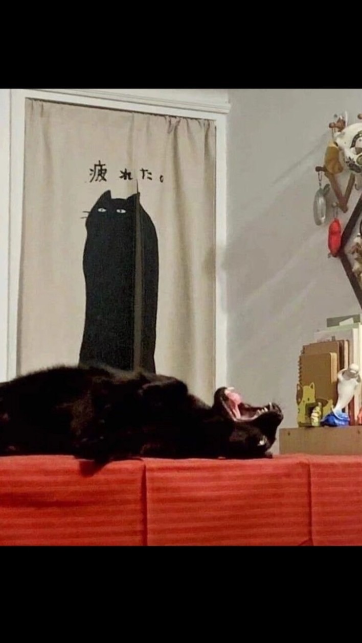 還沒想到
